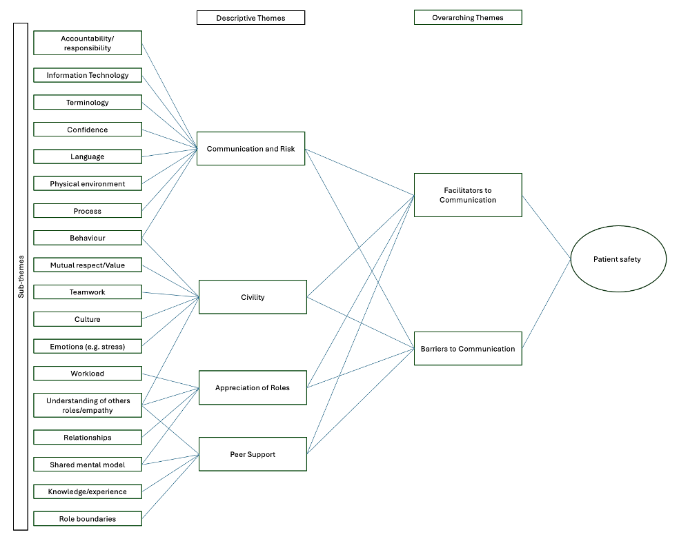 Chart providing the links between the descriptive and sub themes and the two overarching themes identified