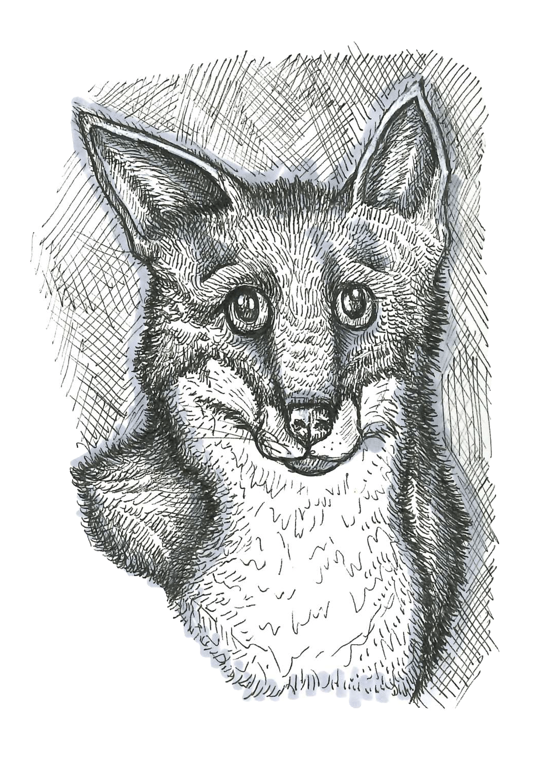 Fox Head in Fineliners.