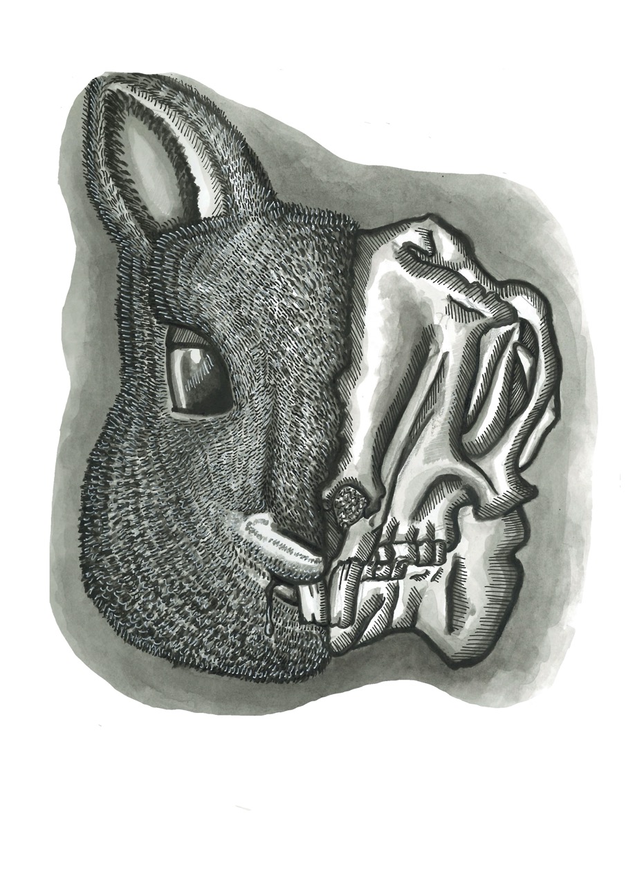 Rabbit Skull, Dark Ink Drawing 