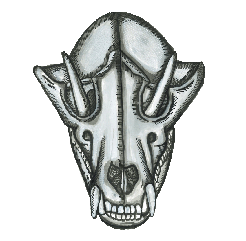 Skull, Ink